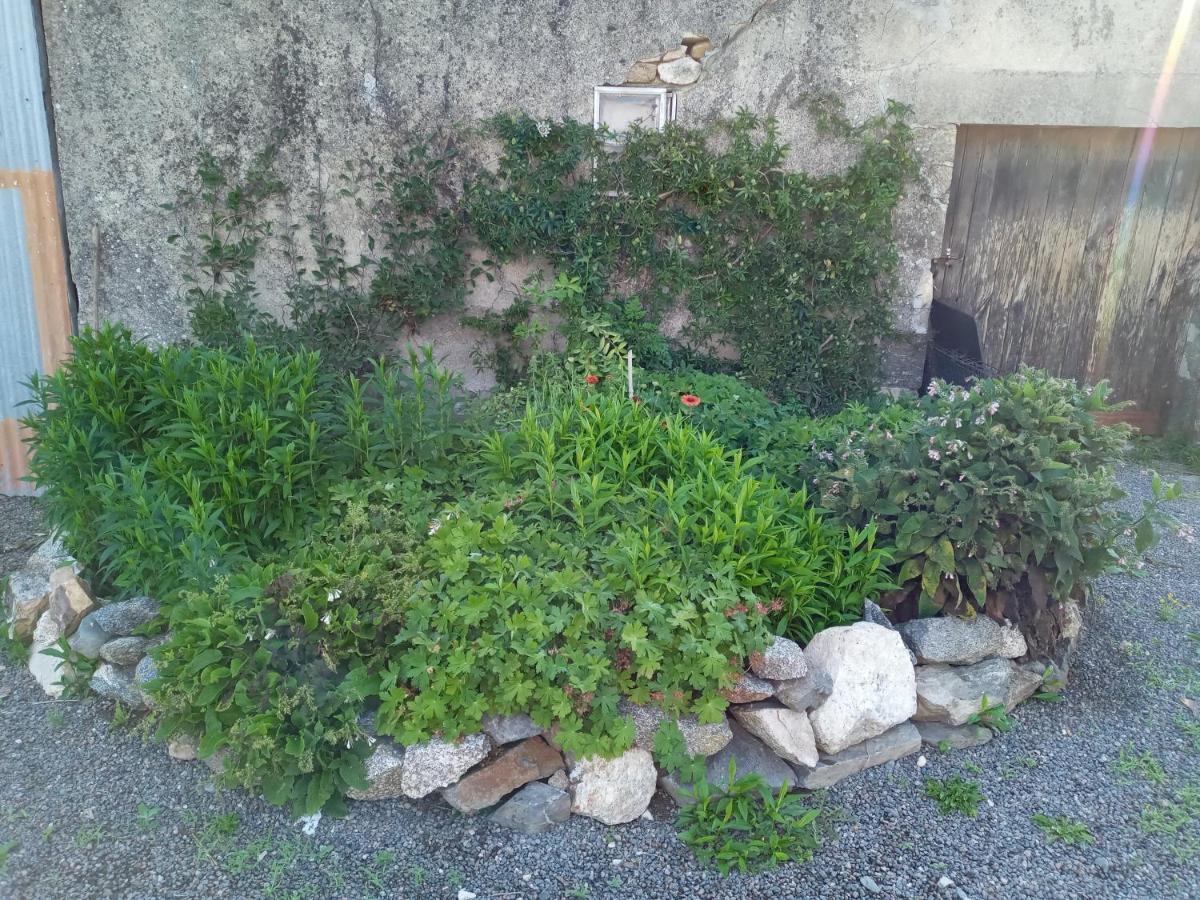 Chez Gondat Chambre d'hotes Saint-Martial-sur-Isop Buitenkant foto